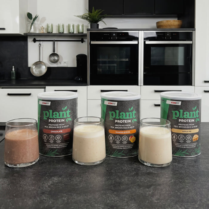 ICONFIT Proteină Vegetală (480g)
